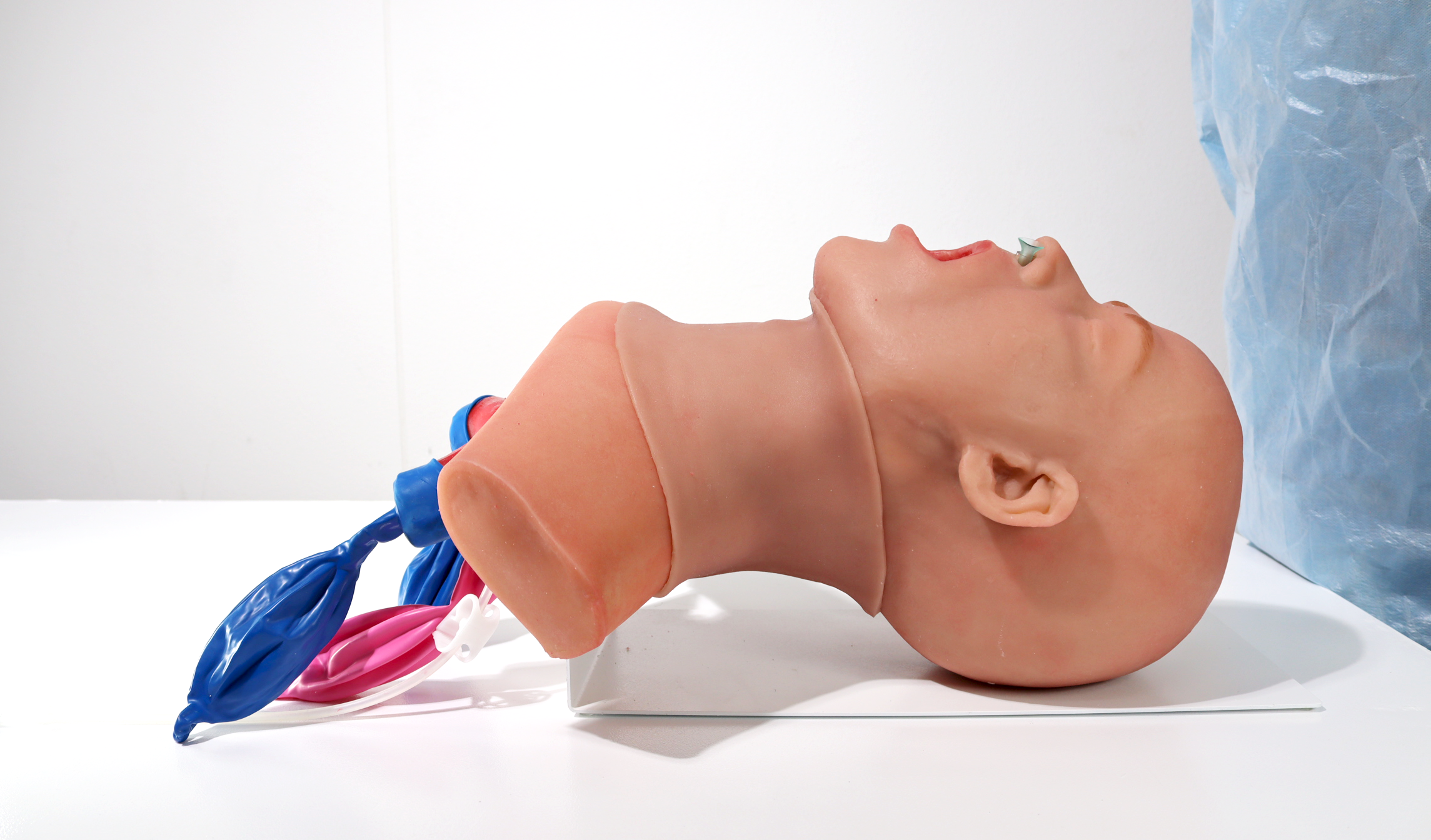 Anatomy and Airway Trainers