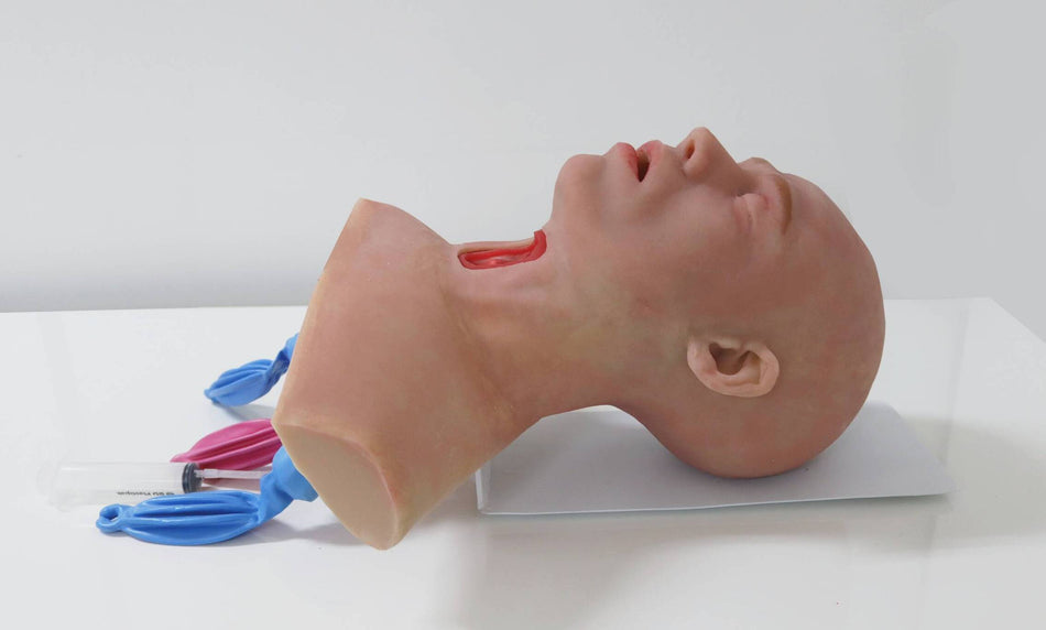 Airway Management Trainer