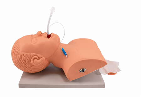 Intubation trainer