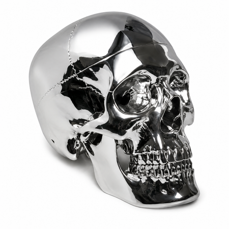 Skull model - Silver