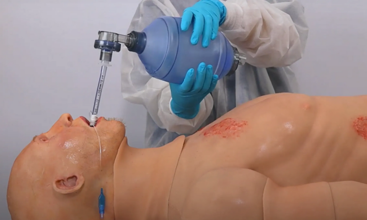 Adult patient simulator