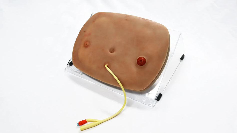 SYM Abdominal Multi-Task Trainer