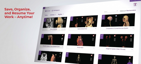 Table d'anatomie
