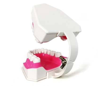 Dental models